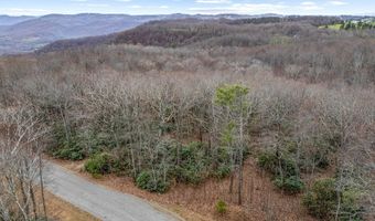 W Pheasant Chase lot 23, Ararat, VA 24053