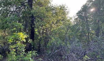 Tbd County Road 335, Anson, TX 79501