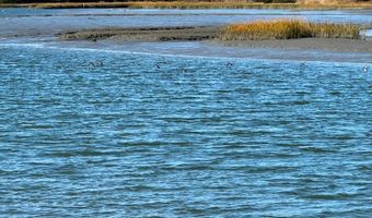 Lot 19 FOLLY CREEK CLUB LN, Accomac, VA 23301