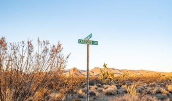 2641 S Javalina Rd, Yucca, AZ 86438