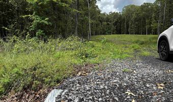 00 Gold Hill Rd, Atkins, AR 72823