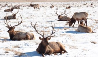 630 GRANDVIEW Dr, Alpine, WY 83128