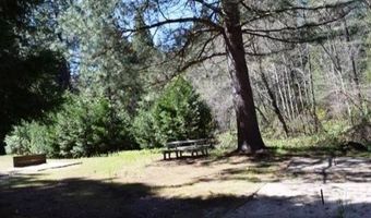 1984 Pine Cone Dr, Arnold, CA 95223
