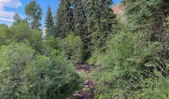 20 42 ACRES SWIFT CREEK Dr, Afton, WY 83110