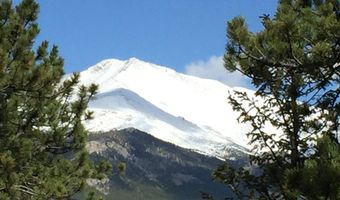 84 County Road 113 S, Allenspark, CO 80510