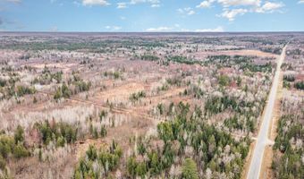 6002 Wildwood Dr, Alger, MI 48610