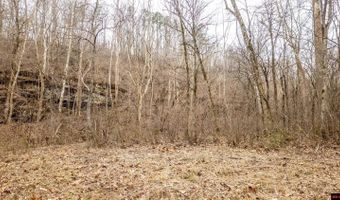 CR 19-A, Alton, MO 65606