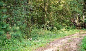 Cypress Pointe Drive lot 14, Brooksville, MS 39739