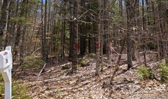 Puckerbrush Road, Campton, NH 03223