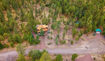 17 County Road 2195, Alpine, AZ 85920