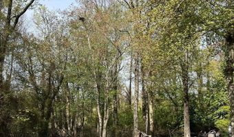 2 Warren Pl, Bay Head, NJ 08742