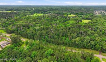 Vine Drive, Brandon, MS 39047