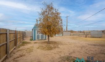 1104 W Yucca Ave, Artesia, NM 88210