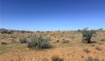 Palo Verde Drive, Chloride, AZ 86431