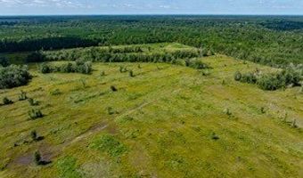 542 Lilla B Gaskins Rd, Alapaha, GA 31622