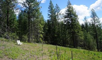 NKA Meadowland Drive, Blanchard, ID 83804