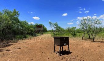 TBD East Tract County Road 356, Anson, TX 79501