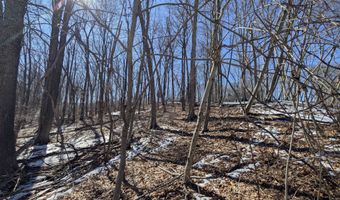 77 Timber Trl, Coventry, CT 06238