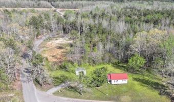 1907 Elmer Cox Rd, Bethel Springs, TN 38315
