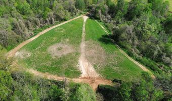 378 County Road 1219, Arlington, KY 42021