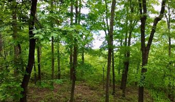 Paradise Lane, Bee Branch, AR 72013