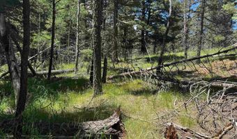 Lot 44 Calle de los Indios, Angel Fire, NM 87710