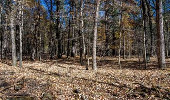 Lot 33 S Badger Lane, Arkdale, WI 54613