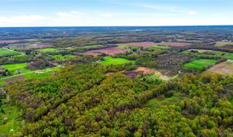 Beaver Road, Alexander, NY 14005