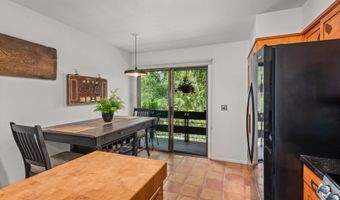 824 E Hopkins Ave 102 and 202, Aspen, CO 81611