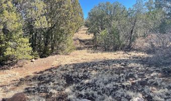 Lot 28 Bronco Drive, Timberon, NM 88350