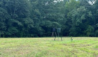 TBD County Road 40, Abbeville, AL 36310