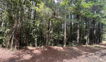 1 8 Acres Sauls Cir, Attalla, AL 35954