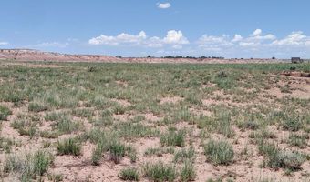 River Meadows Ranch lot 214, Concho, AZ 85924