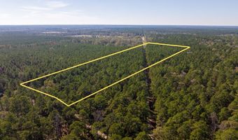 527 Forest Service Rd, Apple Springs, TX 75926
