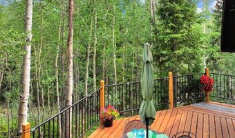 227 Roberts Rd, Alma, CO 80420