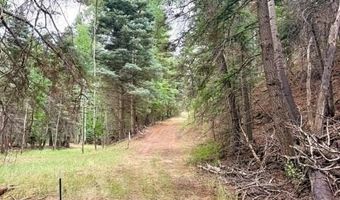 22954 Mt. Elbert Dr, Aguilar, CO 81020