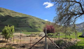 17082 Snake River Rd, Asotin, WA 99402