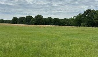 8494 E Nightingale, Atoka, OK 74525