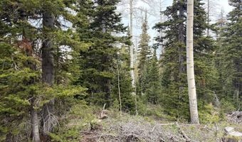646 W Ski View Dr, Brian Head, UT 84719