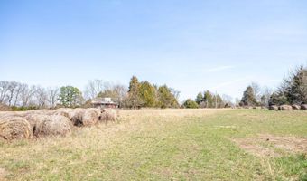 6738 County Road 429, Ava, MO 65608