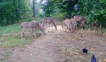 2291 Blankey Branch Rd, Beattyville, KY 41311