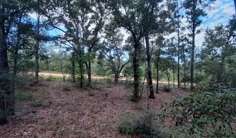 Alene Drive, Alford, FL 32420