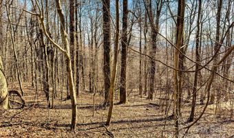 Lot 5 Deer Run Road, Black Mountain, NC 28711