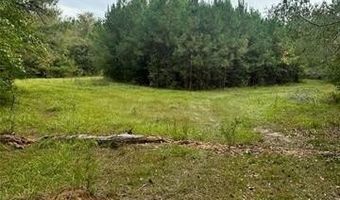 00 JARRELL TOWN Rd, Bogalusa, LA 70427