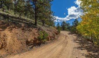 103 Gross Rd, Bailey, CO 80421