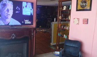 56337 Blue Creek Rd, Astor, FL 32102