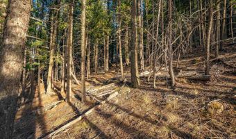 El Camino Real lot 35, Angel Fire, NM 87710