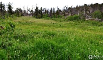 1256 Basking Dog Rd, Bellvue, CO 80512