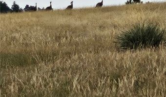 480 Spring Creek Rd, Baker, MT 59336