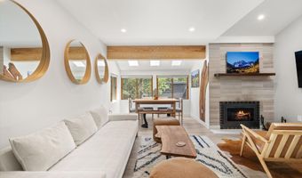 910 W Hallam St 9, Aspen, CO 81611